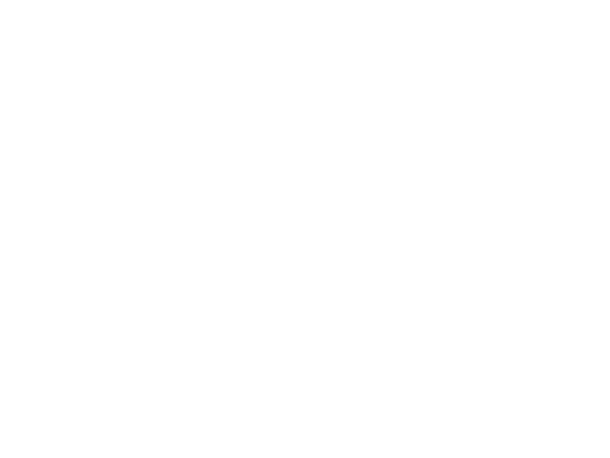 Safe Intelligence